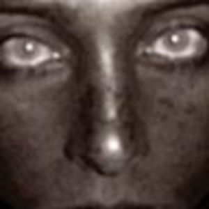 Meet your Posher, Dixie